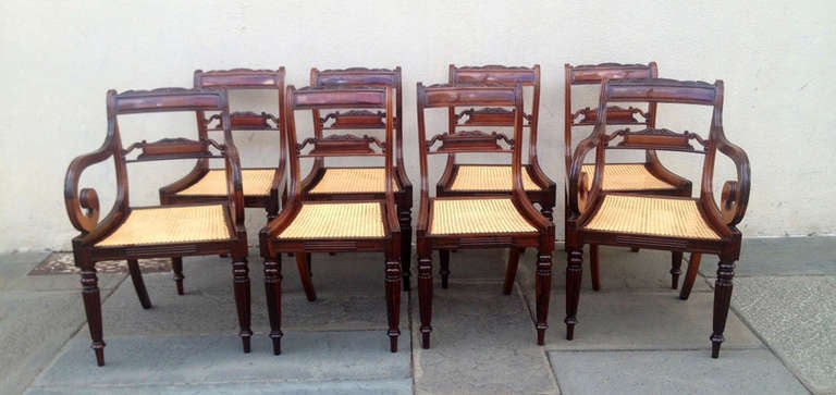 19th Century Anglo-Indian Dining Chairs In Excellent Condition In Charleston, SC
