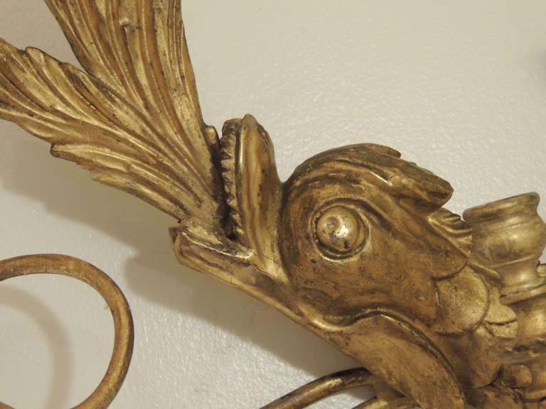 Early 19th C American Dolphin Giltwood Sconces In Good Condition For Sale In Charleston, SC