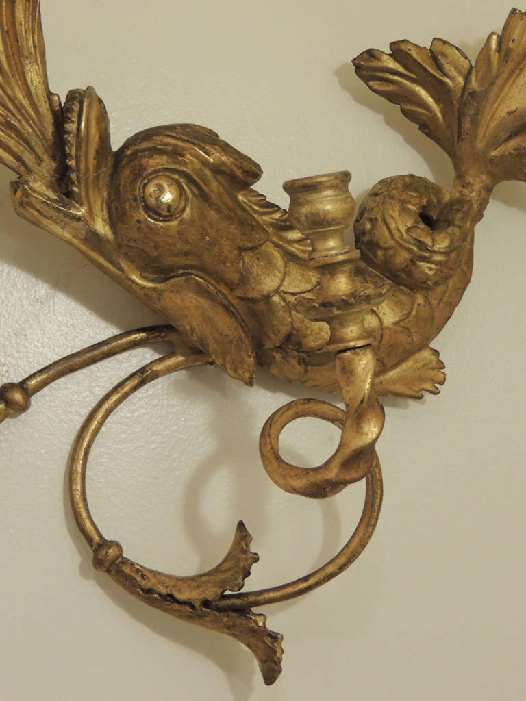 19th Century Early 19th C American Dolphin Giltwood Sconces For Sale