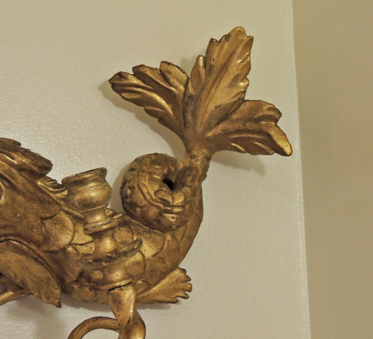Wood Early 19th C American Dolphin Giltwood Sconces For Sale
