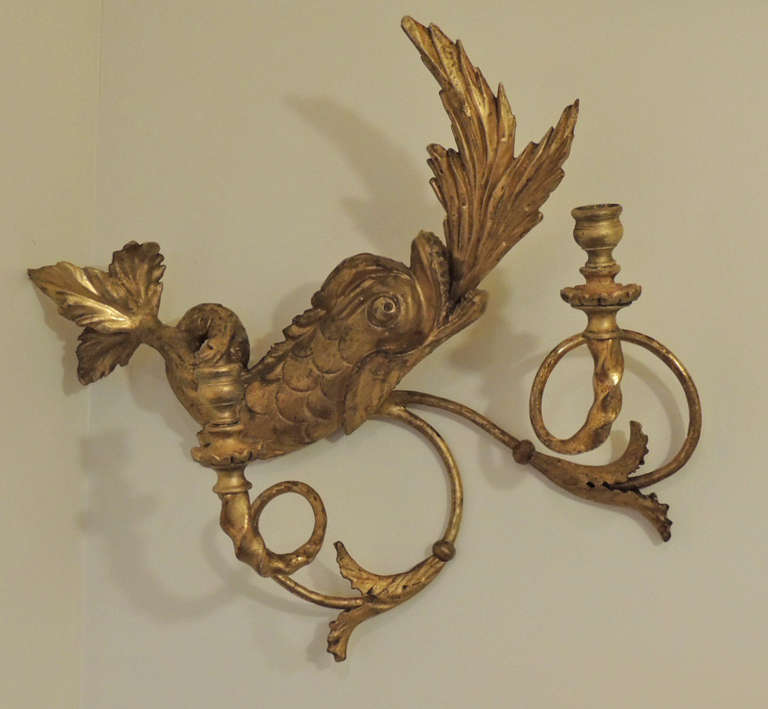Early 19th C American Dolphin Giltwood Sconces For Sale 1