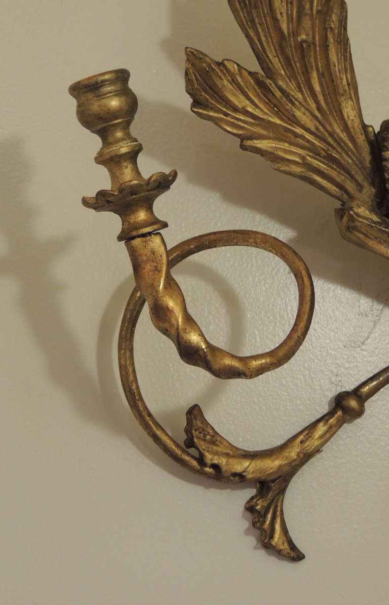 Early 19th C American Dolphin Giltwood Sconces For Sale 2