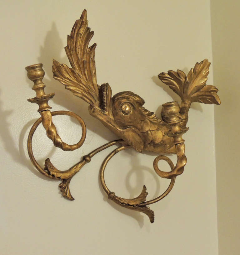Early 19th C American Dolphin Giltwood Sconces For Sale 3