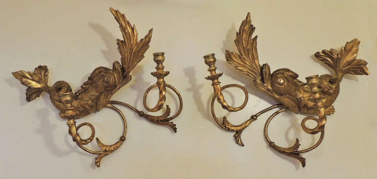 A pair of dolphin sconces made of carved wood gilt featuring two candle arms.  Dolphin-form items are rare and highly demanded among collector's. 