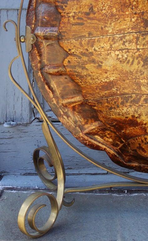 A beautiful tortoise firescreen with a decorative brass holder.