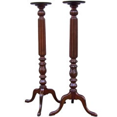 Pair of Jamaican 19th century Stands