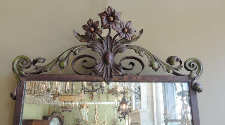 20th Century 20th C French Iron and Bronze with Polychrome Paint Mirror