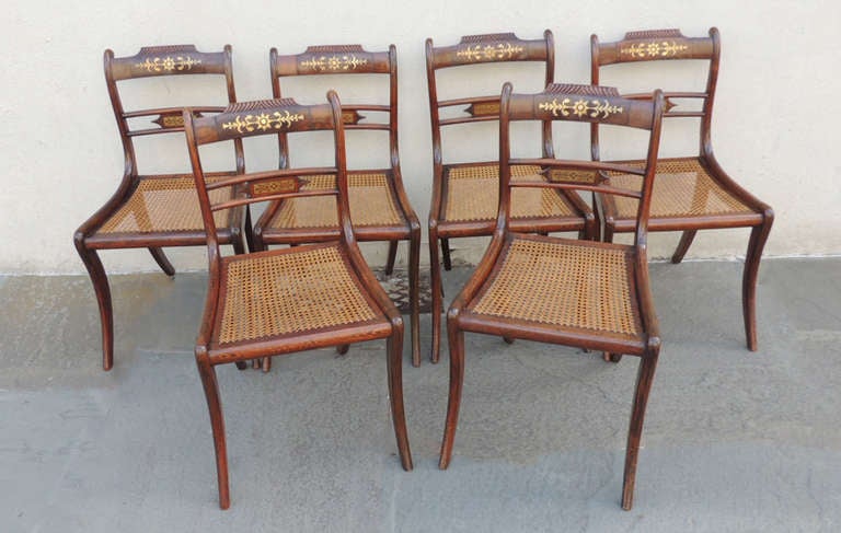 19th Century Set of Six English Regency Rosewood Dining Chairs