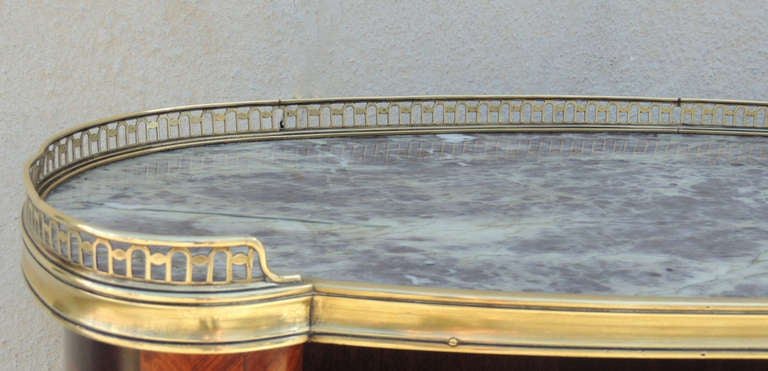 Louis XV 20th C French Marble-Top Bookcase