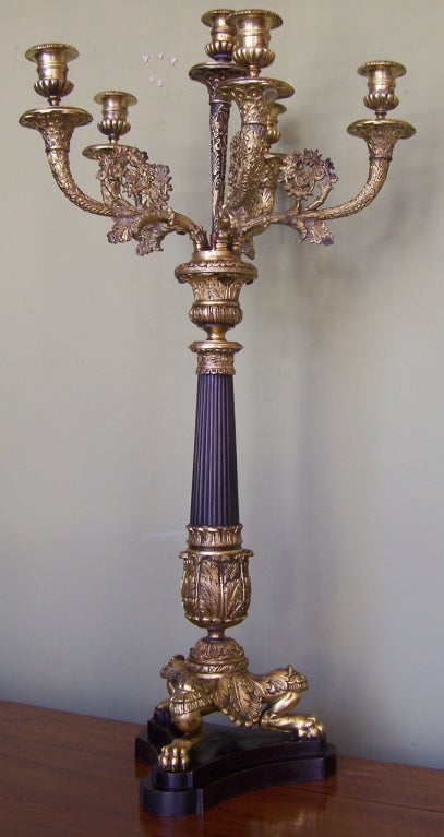 A gorgeous pair of Regency candelabra with patinated doré bronze, intricate casting details. This pair of six arm candelabras is decorated with scrolls and acanthus leaves design. The candelabras each have a reeded stem with acanthus leave detail