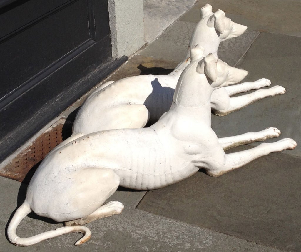 19th Century Pair of late 19th century Cast Iron American Greyhounds Statues