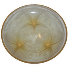 Lalique "Volubilis" Coupe