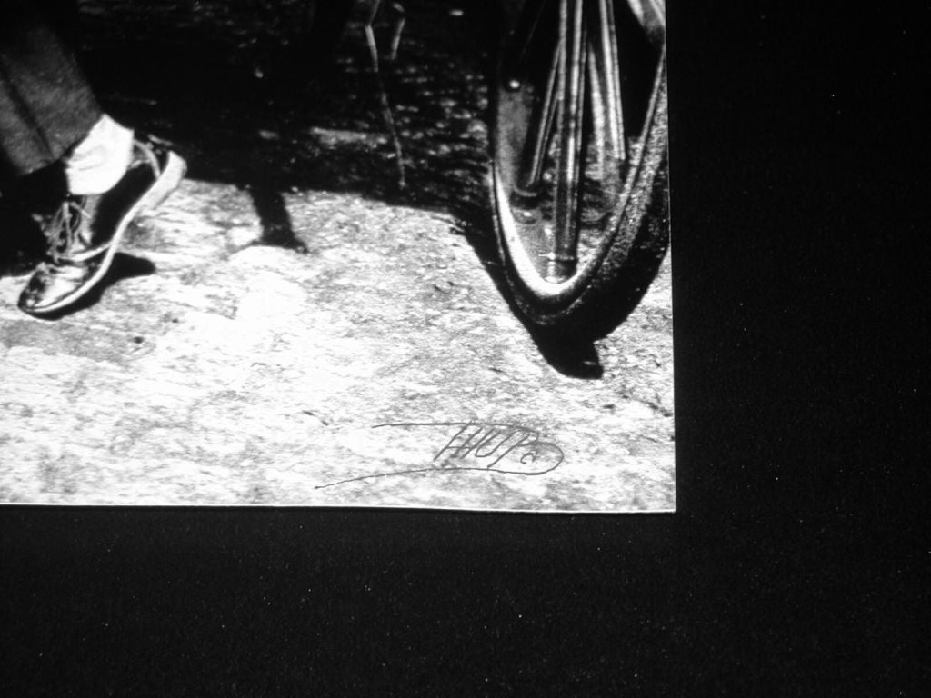 "Guarding the Family Cart"