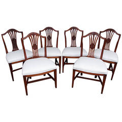 Set of Six American Hepplewhite Mahogany Side Chairs, Massachusetts, Circa 1810 10