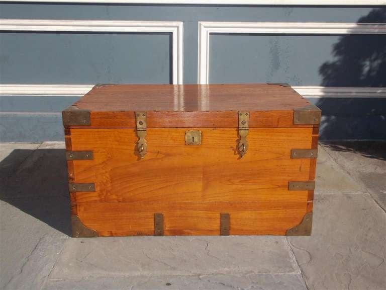 British English Camphor Wood Campaign Chest. Circa 1820