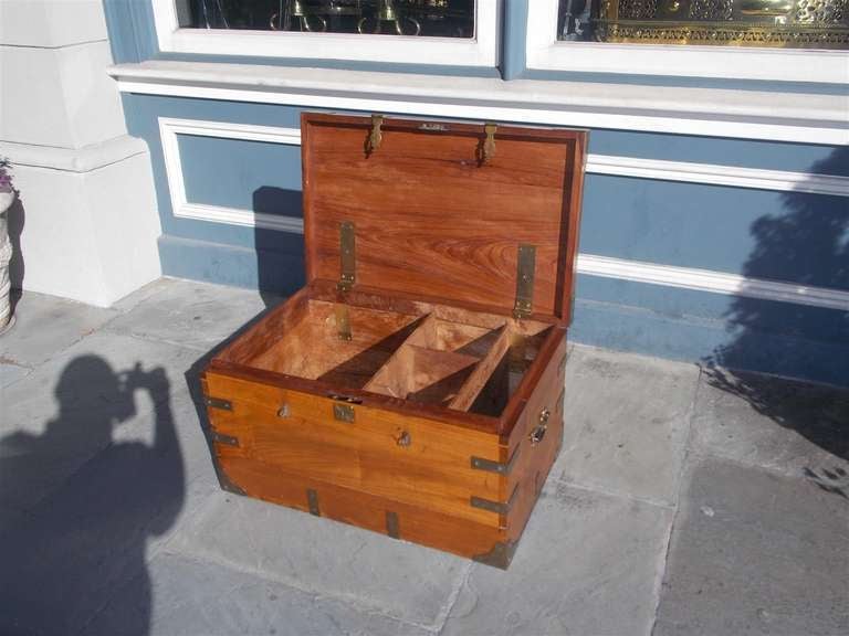 English Camphor Wood Campaign Chest. Circa 1820 2