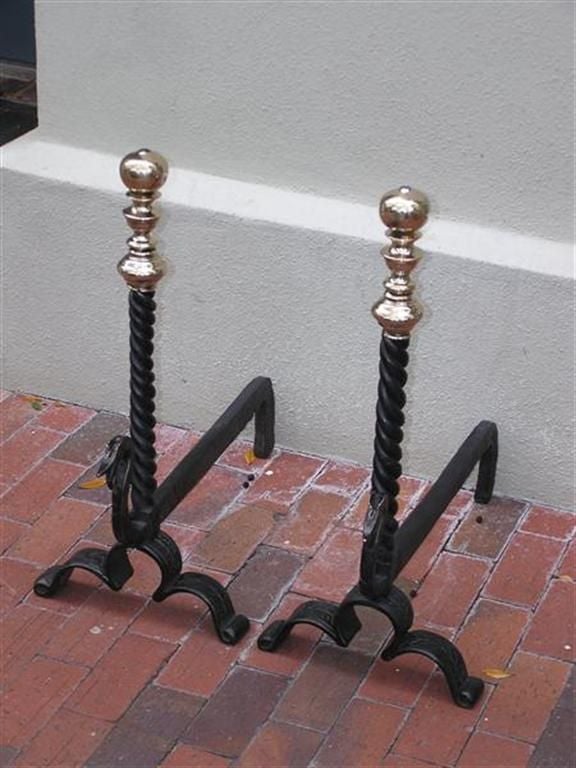 Pair of American wrought iron and bronze ball top andirons with spiral center shaft & goose neck motif.