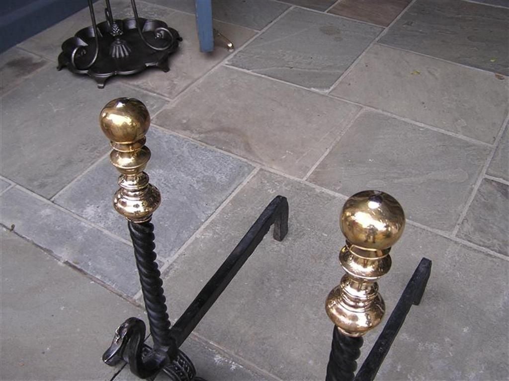 Pair of American Wrought Iron and Bronze Andirons 2
