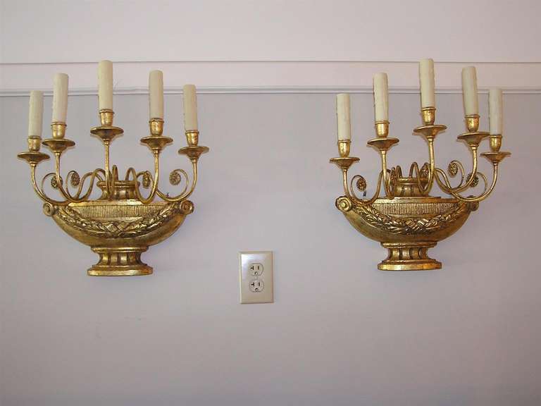 Pair of Italian five light gilt carved wood urn sconces with scrolled decorative medallion arms, floral swags, and resting on fluted plinth.  Sconces were originally candle powered and have been electrified.  Early 19th Century.