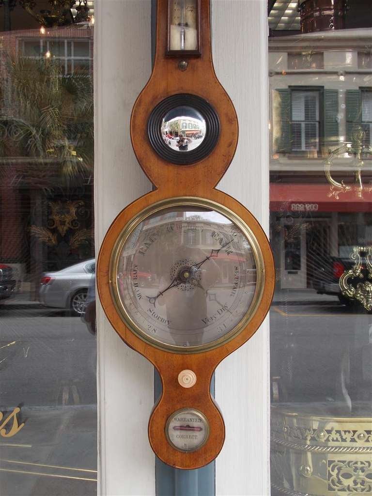 British English Mahogany Banjo Barometer. Circa 1830 For Sale