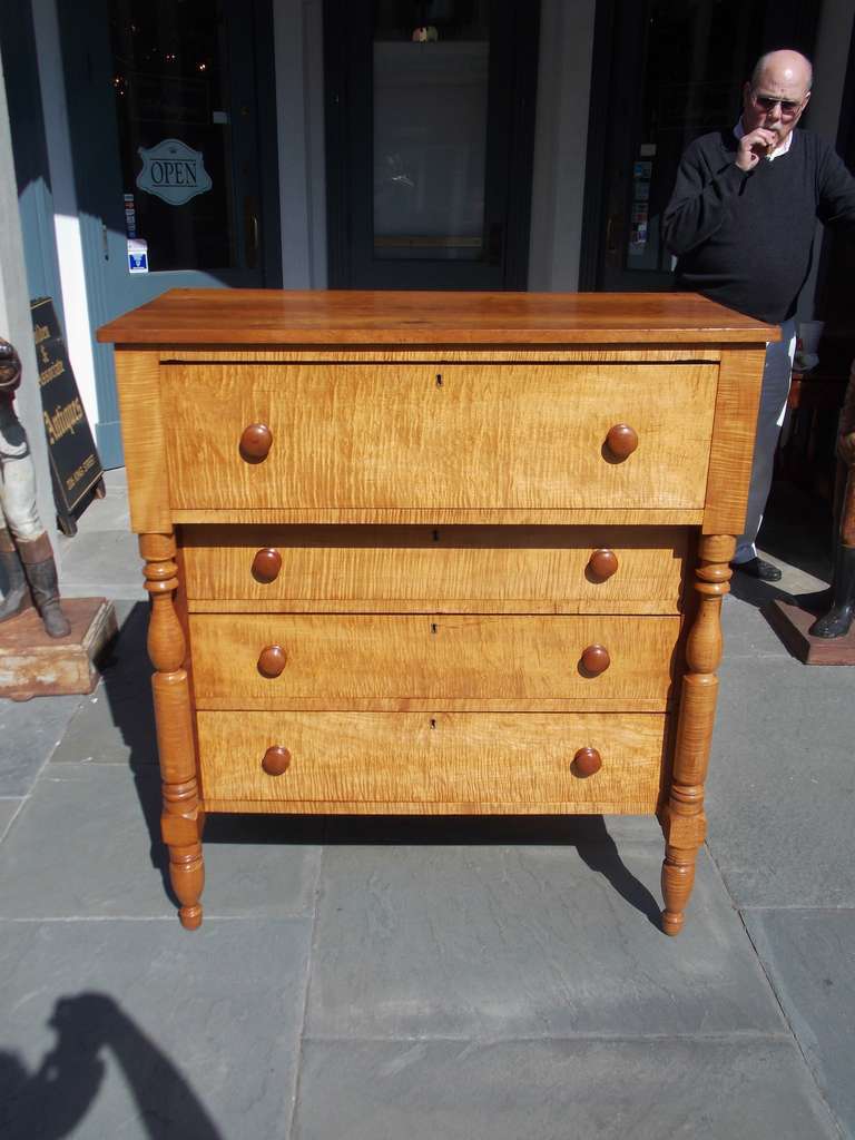 American Sheraton tiger maple and cherry four drawer chest of drawers with original cherry knobs, flanking turned bulbous ringed columns, and resting on the original turned bulbous feet.  Early 19th Century