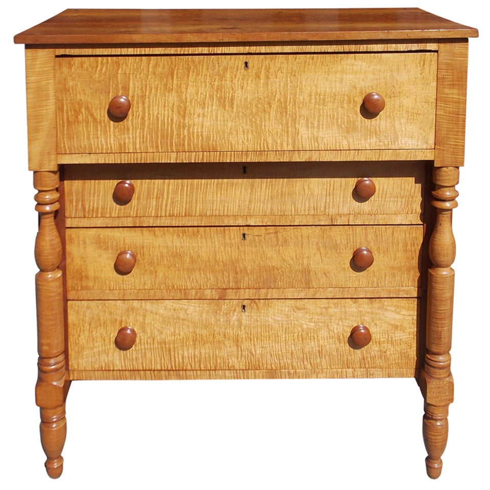 American Sheraton Tiger Maple and Cherry Chest of Drawers. Circa 1820