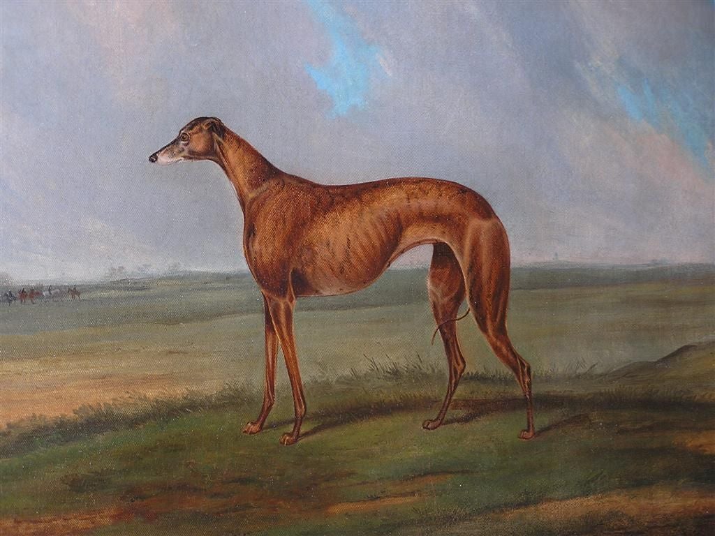 Hand-Painted English Oil on Canvas Whippet Painting in Original Burl Walnut Gilt Frame C 1820 For Sale