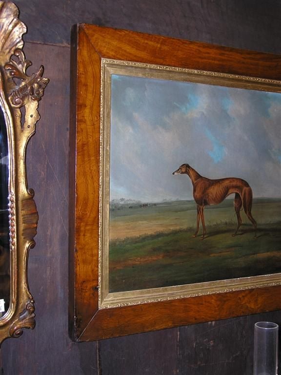 Early 19th Century English Oil on Canvas Whippet Painting in Original Burl Walnut Gilt Frame C 1820 For Sale
