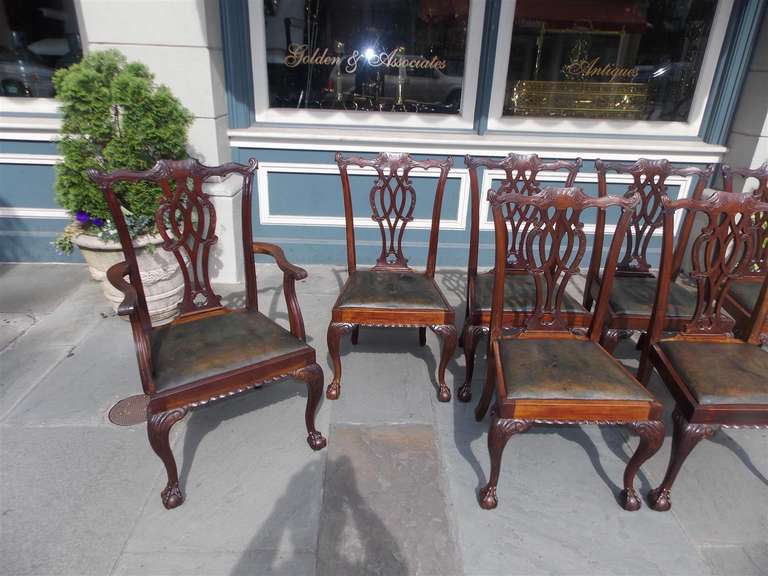 Acht englische Chippendale-Mahagoni-Esszimmerstühle mit Kugel- und Klauenfüßen, um 1820 (Frühes 19. Jahrhundert) im Angebot