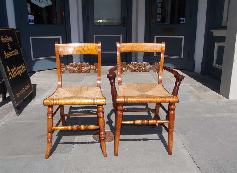 Set of eight American tiger maple and walnut fancy chairs with carved floral  backs, original rush seats, and terminating on turned bulbous legs with stretchers.  Two arms and six sides.  Early 19th Century