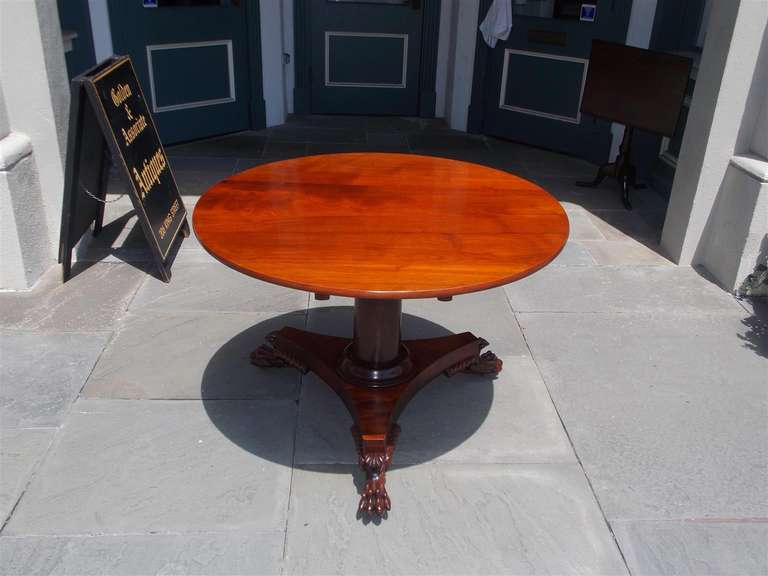 American Mahogany tilt top tripod pedestal table with carved acanthus and  lions paw feet with original brass casters. Table retains original locking mechanism. Philadelphia Circa 1810-15