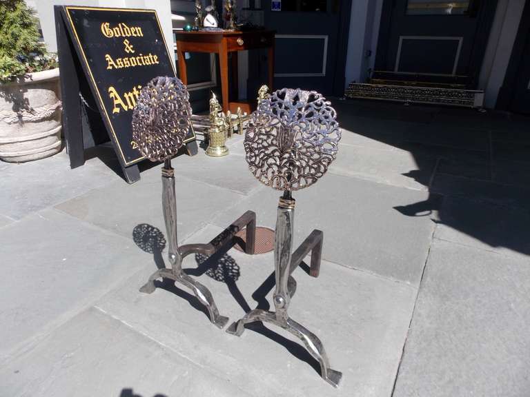 Pair of American Nickel Silver and Bronze Medallion Andirons. 19th Century For Sale 2