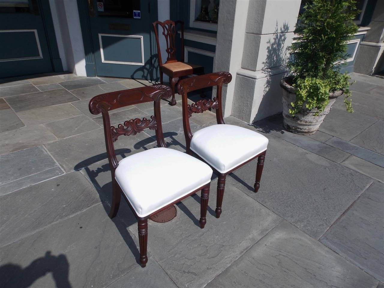 Pair of American Regency mahogany side chairs with carved acanthus and lotus splat backs, white muslin upholstered seat bottoms, and terminating on turned bulbous reeded legs, Early 19th Century. Baltimore.