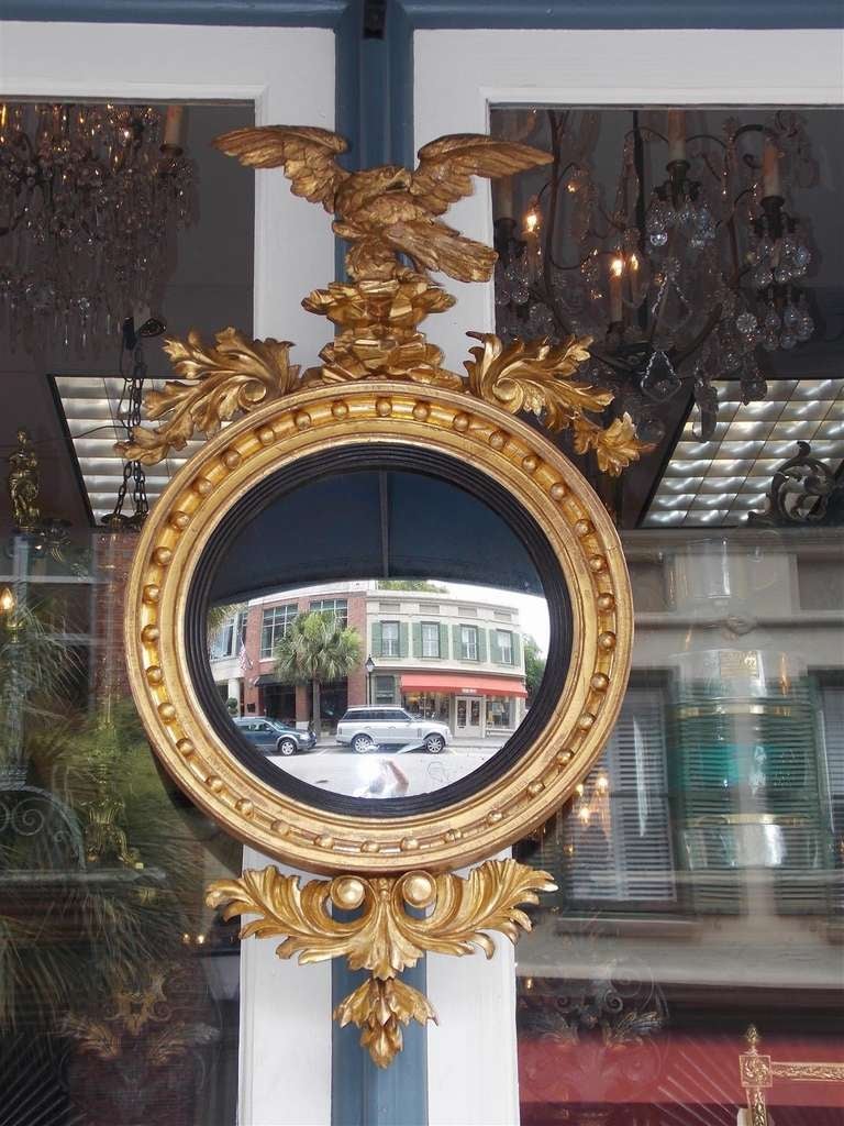 American Federal gilt carved wood and gesso convex mirror with perched eagle on rocky plinth, surmounted by acanthus and foliage motif. Mirror has original glass surrounded by reeded ebonized molded edge.  Dealers please call for trade price. 