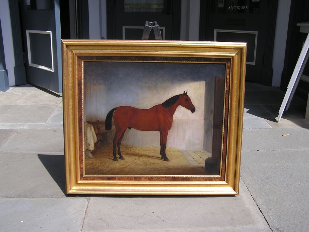 Peinture anglaise à l'huile sur toile représentant un cheval dans une écurie avec son cadre doré et en loupe.  Signé et daté 