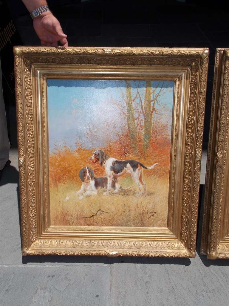 Pair of American Canine oil on canvas in original gilt carved wood and gesso frames.  Signed E. Payne.  Dealers please call for trade price.