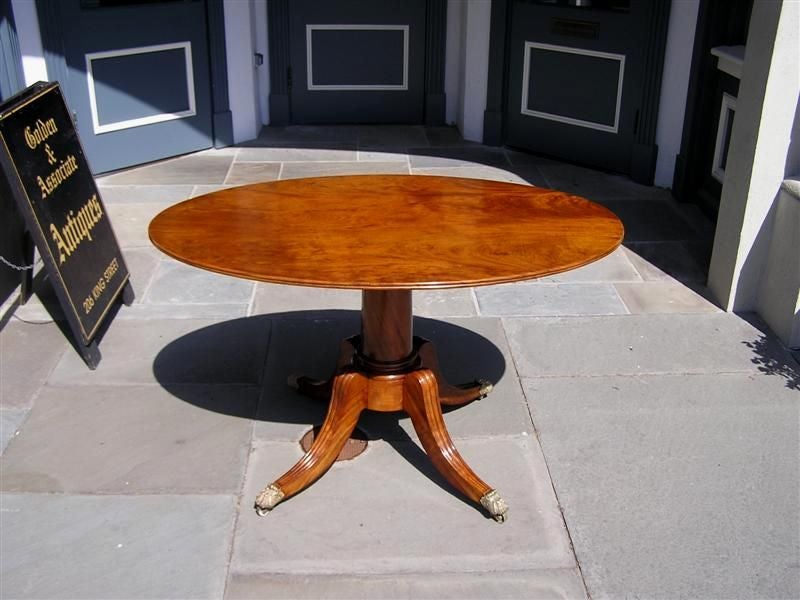 American Walnut oval tilt top table supported by a turned ringed centered pedestal, original exterior brass locking mechanism, and terminating on the original four reeded saber legs with lions paw brass casters. One board top.  Boston, Early 19th