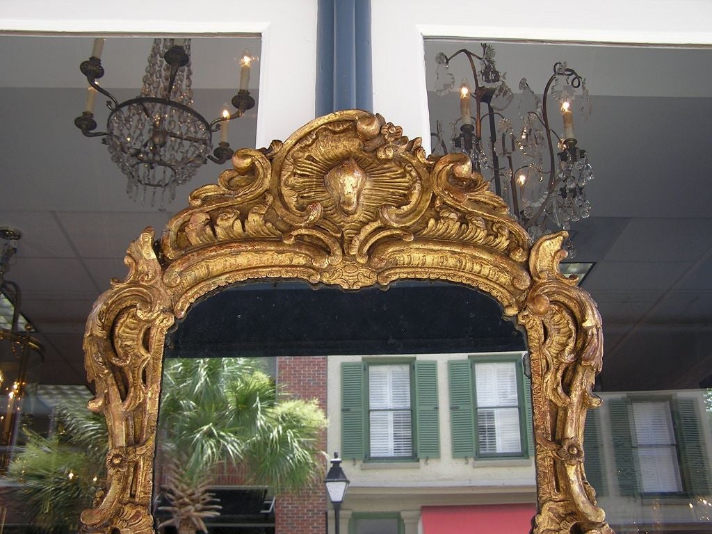 Italian Gilt Wood & Gesso Shell Cornice Acanthus Foliage Wall Mirror, C. 1780 In Excellent Condition For Sale In Hollywood, SC