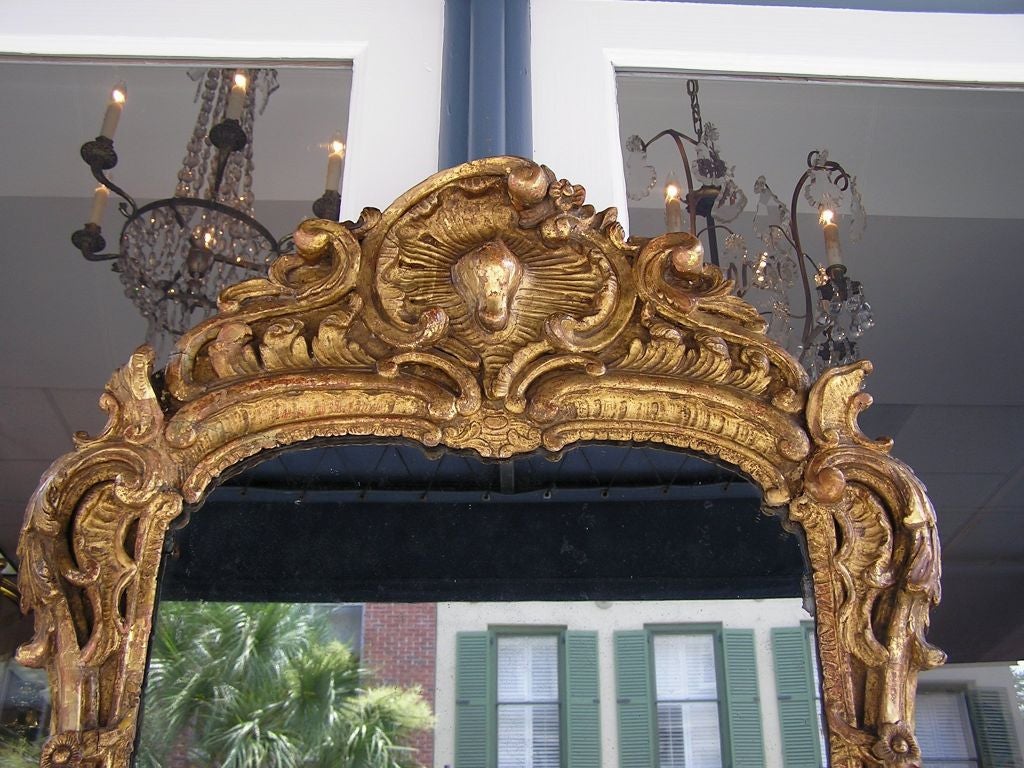 Late 18th Century Italian Gilt Wood & Gesso Shell Cornice Acanthus Foliage Wall Mirror, C. 1780 For Sale