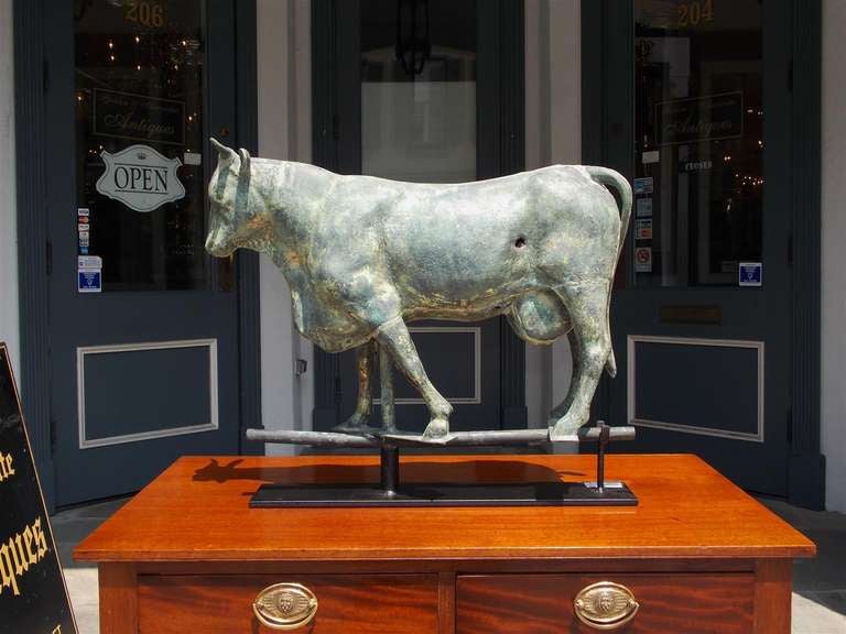 American copper full bodied cow weathervane,  A full copper body of classic form with wonderfully delineated lines. Maintains some original gilt surface with verdigris.  Cushing and White made these models with or without udders during this Period. 