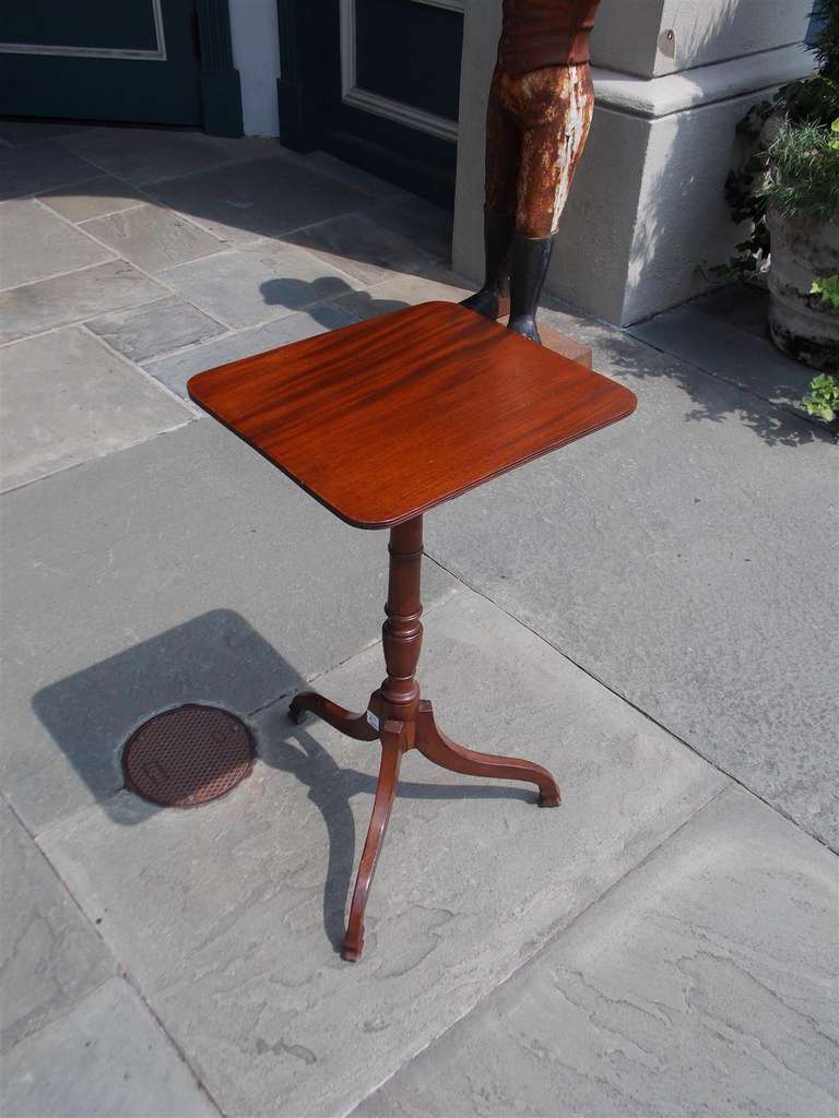 American mahogany tilt top candle stand with turned bulbous ring pedestal, original brass locking mechanism, and terminating on tripod base with spade feet. Early 19th century.