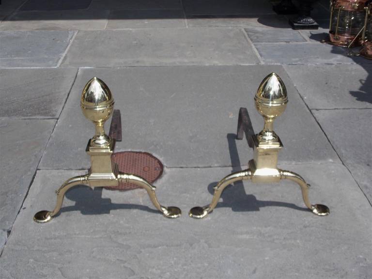 Pair of American Brass Acorn Andirons, Circa 1790, Philadelphia or Baltimore In Excellent Condition For Sale In Charleston, SC
