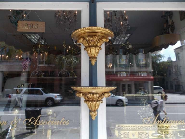 Pair of English gilt wood and gesso demi-lune wall brackets with a gadrooned molded edge and resting on a  acanthus carved tapered base.  Early 19th Century