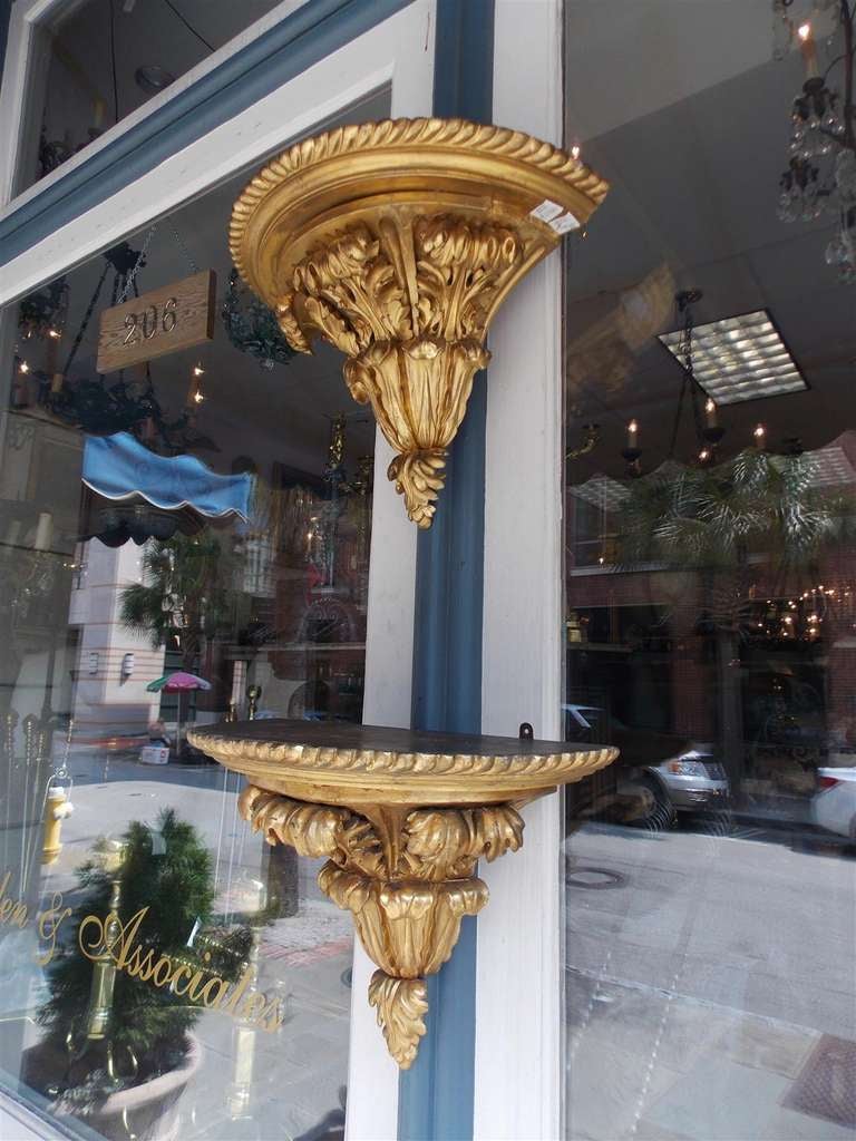 Inglese Coppia di mensole da parete inglesi in legno dorato e gesso gadrooned con acanto. C. 1810