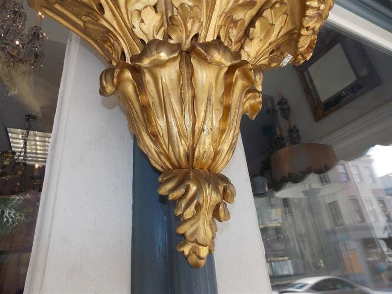 Pair of English Gilt Wood and Gesso Gadrooned Acanthus Wall Brackets. C. 1810 2