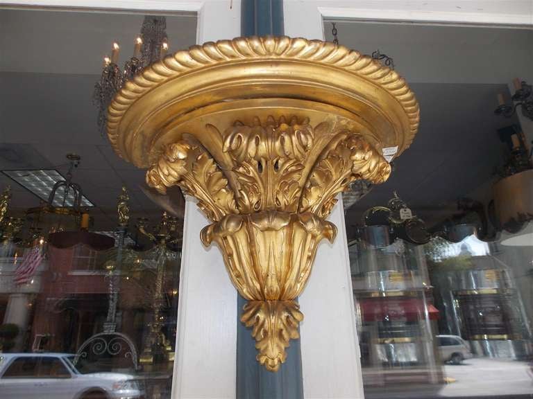 Pair of English Gilt Wood and Gesso Gadrooned Acanthus Wall Brackets. C. 1810 3