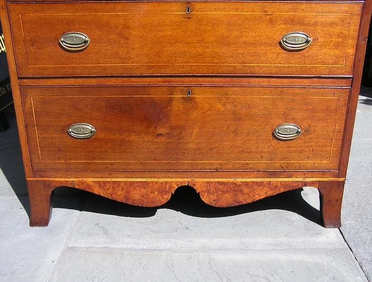 American Walnut Chest of Drawers For Sale 1