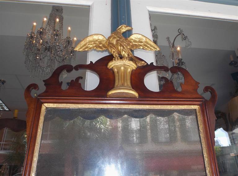 18th Century and Earlier American Chippendale Mahogany and Gilt Wall Mirror.  Circa 1780 For Sale