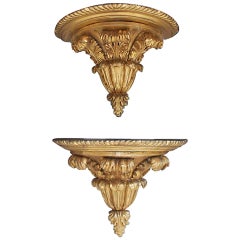 Pair of English Gilt Wood and Gesso Gadrooned Acanthus Wall Brackets. C. 1810