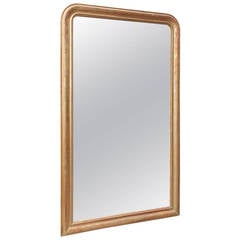 French Gilt Carved Wood and Gesso Floral Etched Wall Mirror, Circa 1820 3